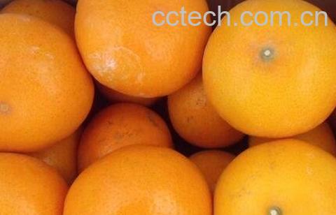 吃茂谷柑的好处-0