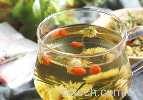 胎菊花茶的功效作用与禁忌-1