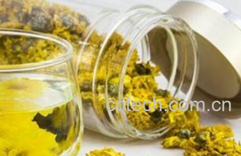 喝菊花茶有什么好处与功效-1