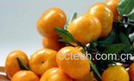 桔皮核的功效与作用-0