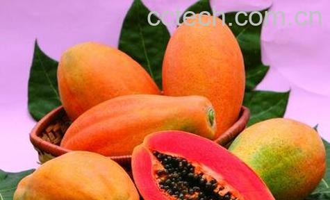 木瓜的功效与作用 木瓜的食用方法-0