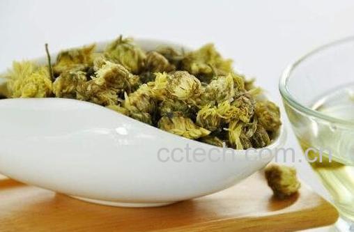 菊花茶有哪些功效与作用 菊花茶怎么做-1