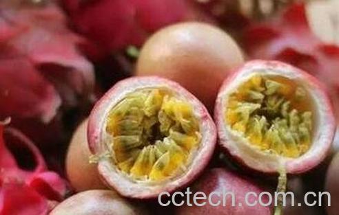 百香果壳的功效与作用-0