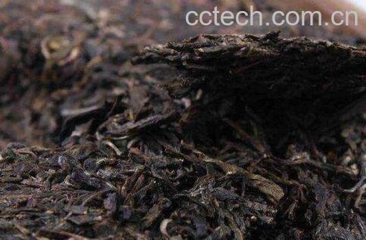 普洱茶的功效与副作用-1