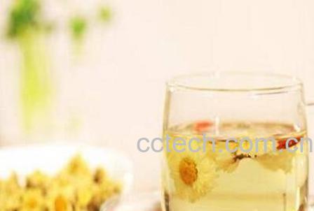 菊花茶的功效 喝菊花茶的禁忌-1