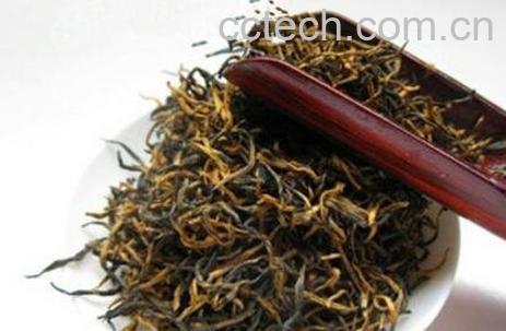 怎样挑选金骏眉-1