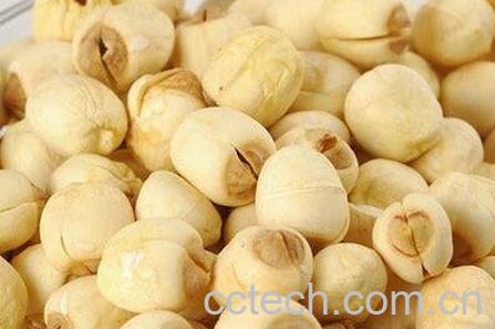 莲子怎么吃 莲子的常见吃法-0