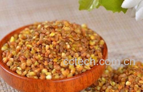 苦荞茶的功效与作用及食用方法-0