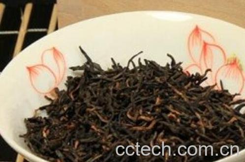 正山小种是什么茶 正山小种与金骏眉的区别-0