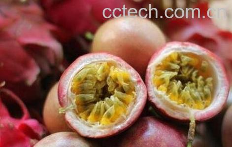百花果壳的功效与作用-0