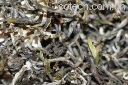 散装云南白茶怎么保存-1