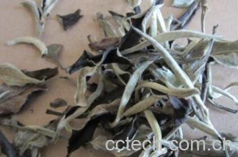 散装云南白茶怎么保存-0