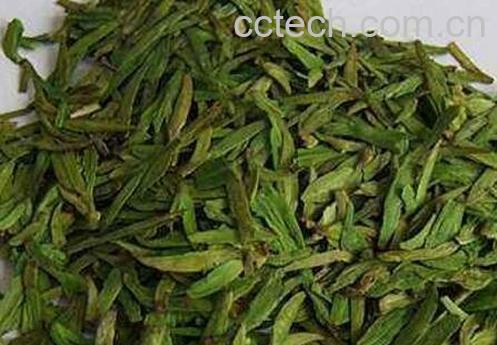 什么是白茶龙井 白茶龙井的功效与作用-1