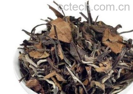 如何识别做旧的白茶-0