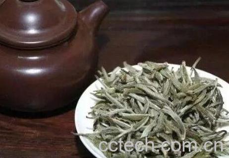  秋季怎么保存白茶-1