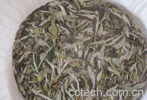 如何鉴别白茶饼的好坏-0