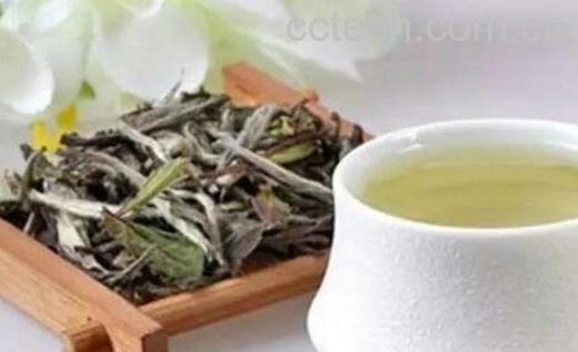 如何鉴定白茶品质-0