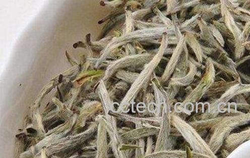 如何鉴定白茶品质-1