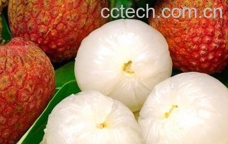 荔枝不能和什么一起吃-0