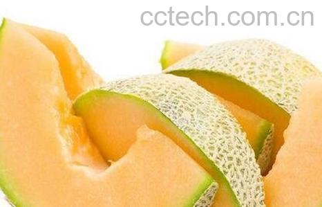 哈蜜瓜不能和什么一起吃-0