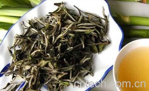 如何辨别白茶好坏和种类-1