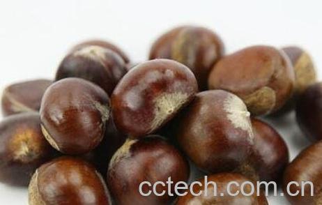 栗子不能和什么一起吃-0