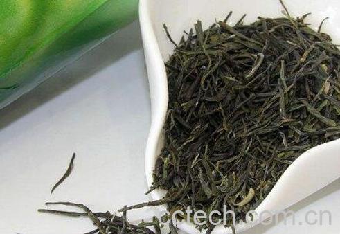 如何挑选好的安吉白茶-0