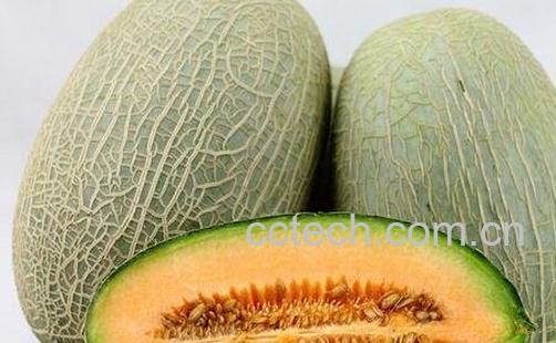 哈蜜瓜切开后如何保存-0