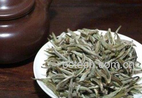 如何区分白茶的优劣和好坏-1