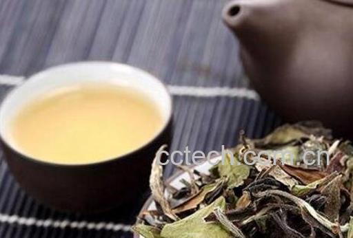 如何区分白茶的优劣和好坏-0