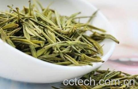 喝安吉白茶的功效与作用-0