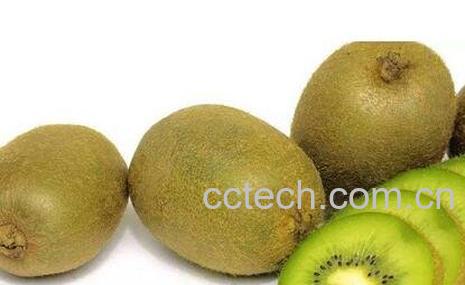 奇异果加梨有什么好处和坏处-0