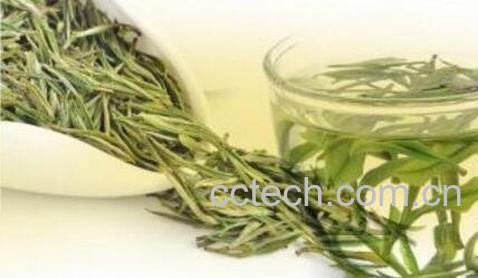 喝安吉白茶的功效与作用-1