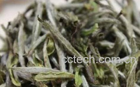 白茶有哪些 白茶的种类-0
