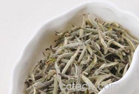 普洱生茶与白茶有什么区别-1