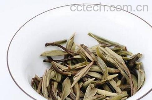七年白茶的功效与作用-1