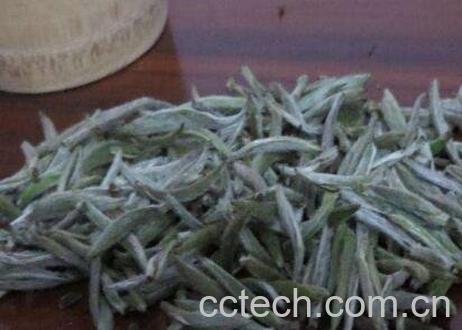 明前安吉白茶的功效和保存方法-0