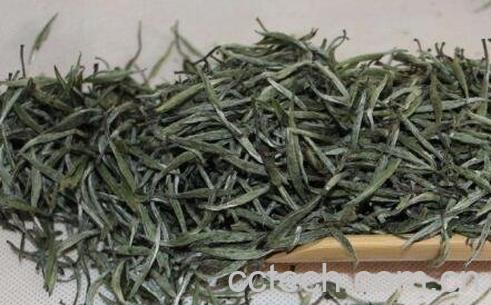 明前安吉白茶的功效和保存方法-1