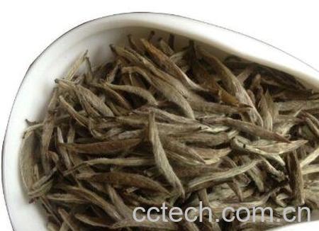 女孩喝白茶的好处和坏处-0