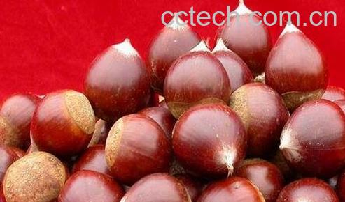 锥栗不能和什么一起吃 -0