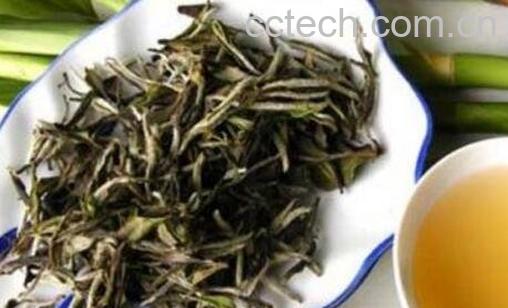 泡白茶是否要洗茶 洗茶的方法和步骤-1