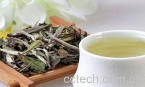 泡白茶的主要步骤 白茶怎么冲泡-0