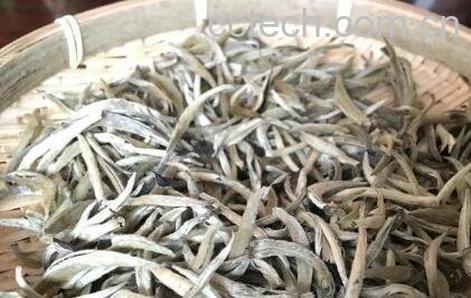 普洱白茶的冲泡方法-0