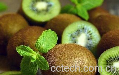 猕猴桃怎么催熟最快 猕猴桃催熟方法-0