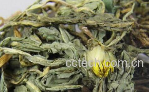 蒲公英茶的功效-1