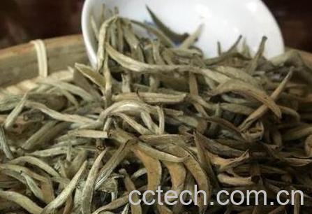 普洱白茶的冲泡方法-1