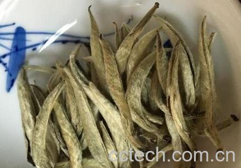 普洱白茶怎么保存 普洱白茶能存放多久-1