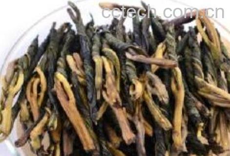 白骨苦丁茶的功效与作用-1