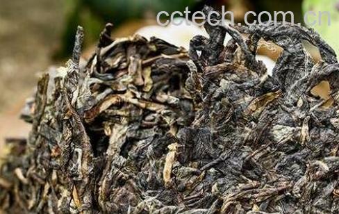 普洱茶生茶砖和白茶有什么区别-0