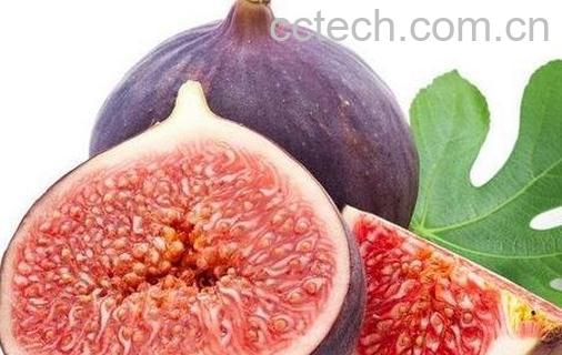无花果的功效与作用-0